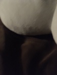 p`p`