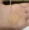 2024-09-25 09:25:38 by Ԃݖьx[XI^N