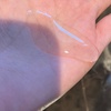 2024-09-13 12:14:05 by ݂1103