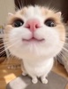 낶남Ȃ