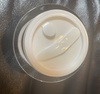 IMG_8325.jpeg
