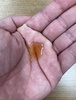 2024-12-09 13:51:20 by ߂傳