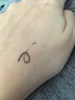 2025-02-17 10:43:29