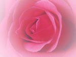 LL[YsN