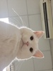 Yuka14