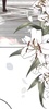 MisaMisaMisa