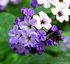 2012-07-09 20:17:34 by q
