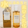 2025-05-19 19:24:40 by shichan23