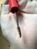 2025-06-12 10:33:02 by Ԃǂ[