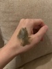2025-03-17 11:53:52 by ݂tan10