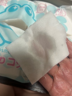 コットン の画像