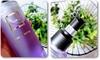 stem sai