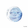Mr.Moon