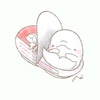 L~_CtN񂳂