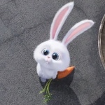 ~邿邳