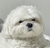 rrbei[X