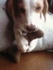 Alma*