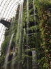 natubeau