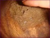 2014-07-13 11:31:02