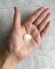 IMG_6967.jpeg