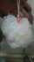 2011-02-11 17:15:27 by ځiYj
