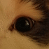 (=)ۂ`񂳂