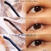 BLEND BERRY / uhx[@`A~[@J[L[v@}XJ@voiby j