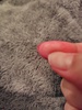 2025-02-03 10:57:48