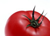 tomato404