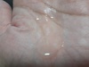 20241120_205915.jpg by 肳