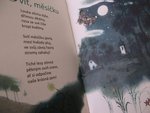 mikotonr