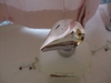 2012-05-04 00:29:43