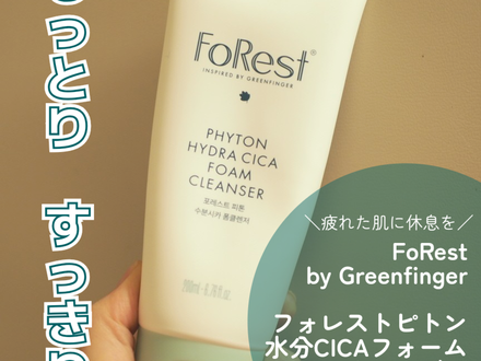 cica の画像