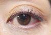 2013-01-19 20:25:58 by V}[1970