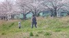 mayuki