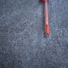 2024-11-27 10:14:30 by 