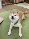 䂤#9
