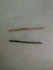 2012-01-07 09:19:52 by maori