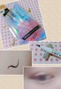 CollageMaker_20191220_201452931~2.jpg