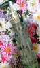 DSC_4245~2.JPG