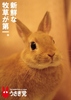 傱炘