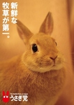 傱炘