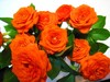 inu@
