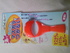2012-05-22 18:37:19 by A,