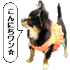 puri2