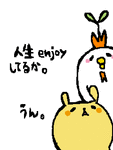 ZT~남