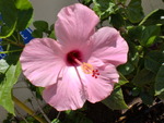 RbN}+߂