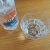 IMG_3172.jpeg