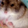 g񂳂