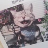 Yuki-R